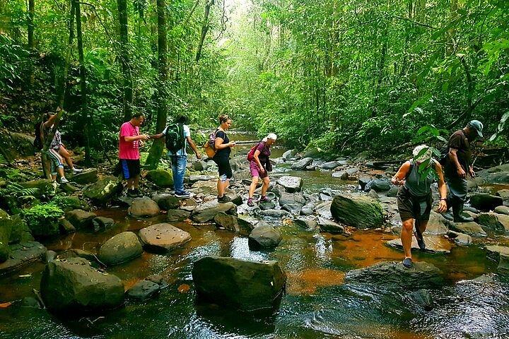 Adventure & Special Experience Day Tour – Feel the Thrill of Sri Lanka! - Image 5