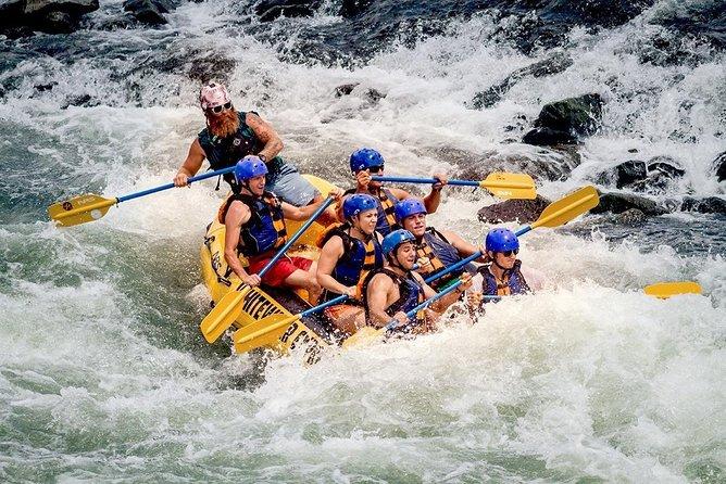 Adventure & Special Experience Day Tour – Feel the Thrill of Sri Lanka! - Image 2