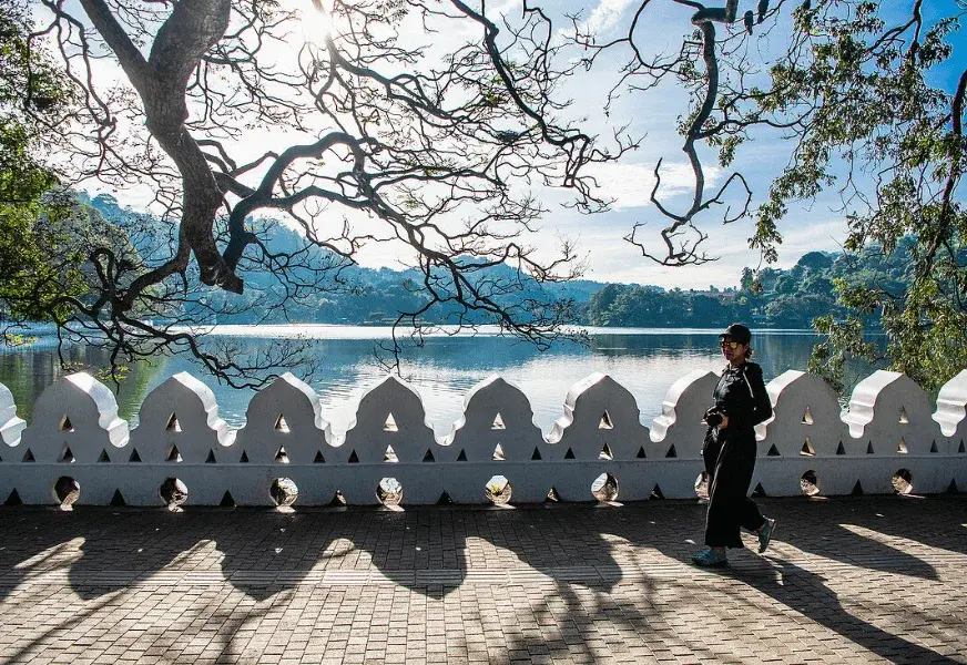 Kandy City & Cultural Experience Day Tour - Image 6