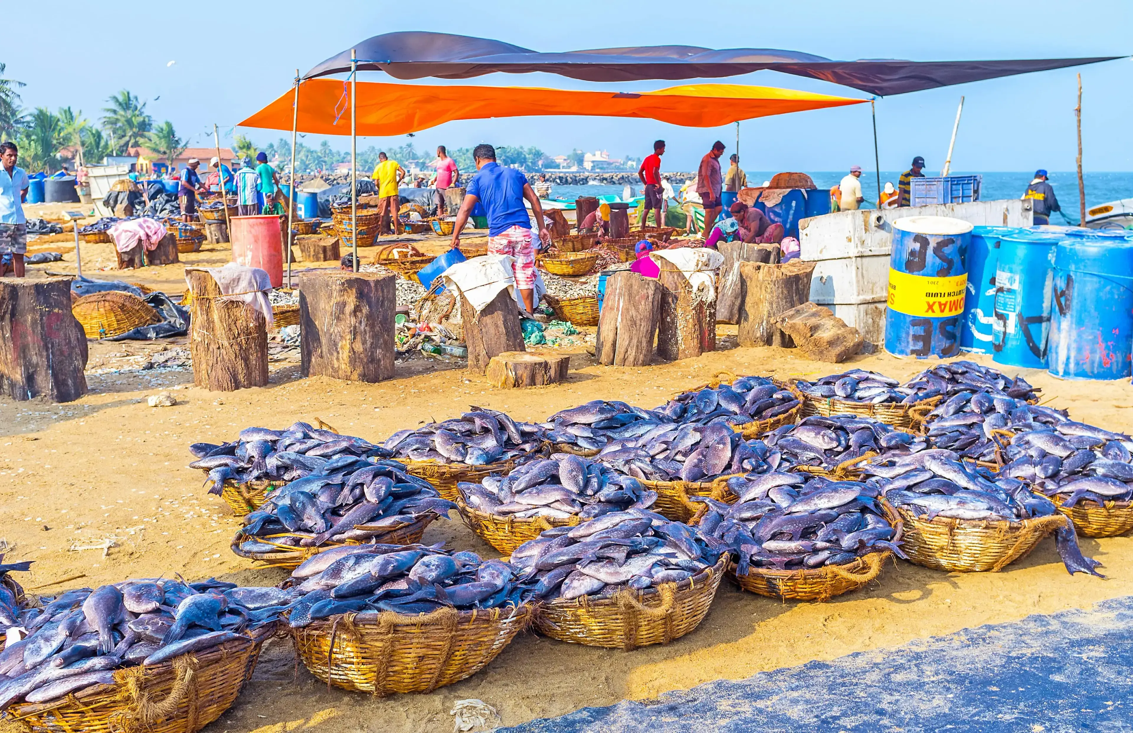 Negombo City Tour – 1 Day Lagoon & Beach Experience - Image 4