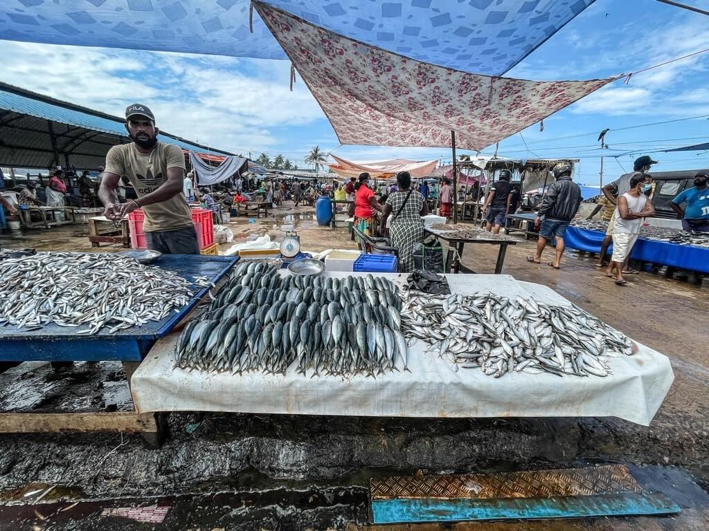 Negombo City Tour – 1 Day Lagoon & Beach Experience - Image 6