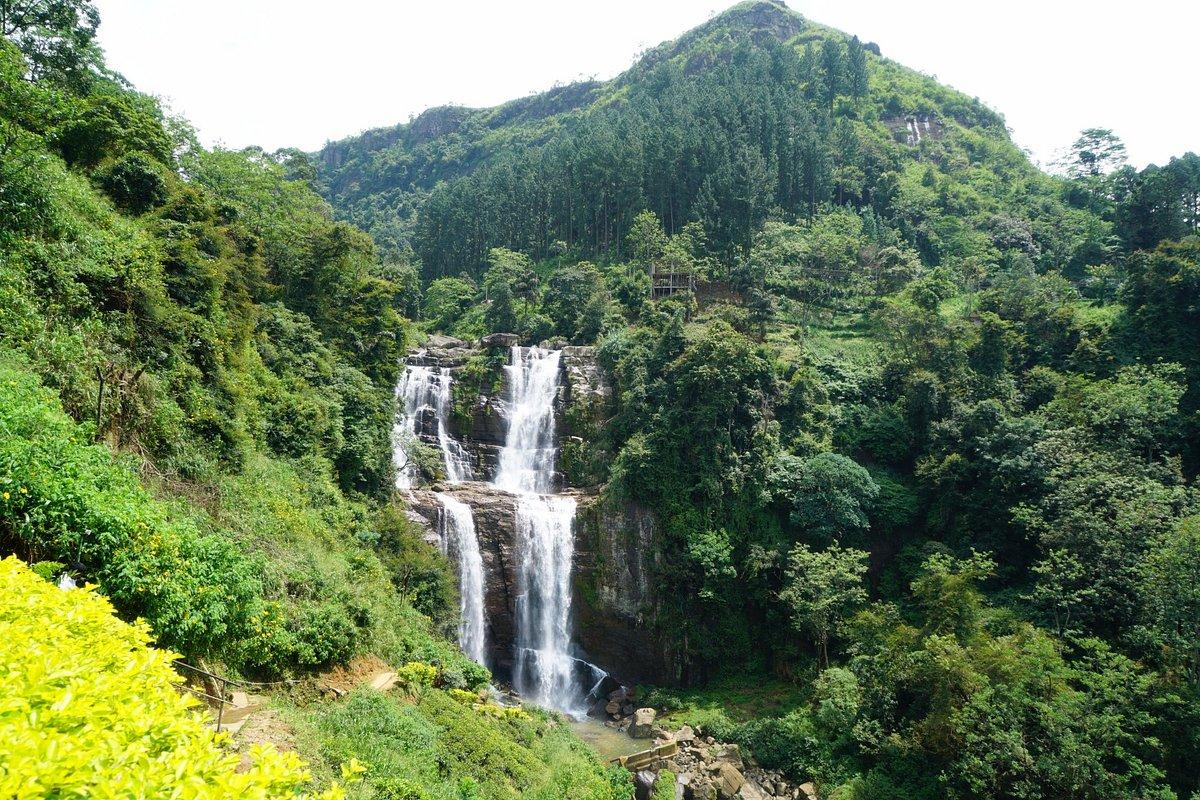 Nuwara Eliya Day Tour – 1 Day Hill Country Escape - Image 3