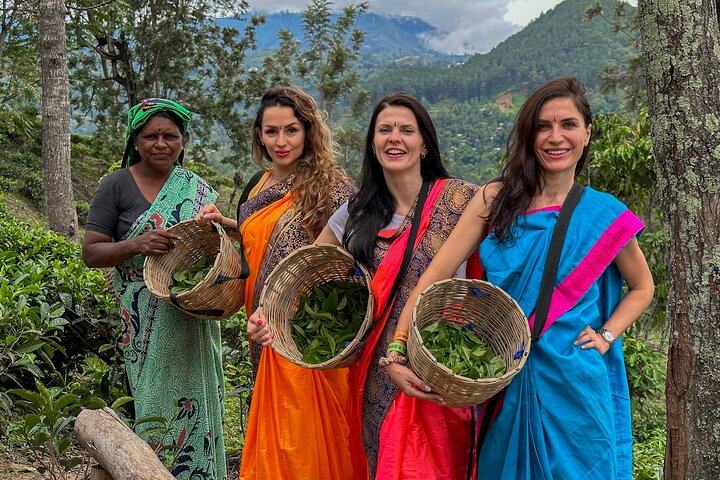Nuwara Eliya Day Tour – 1 Day Hill Country Escape - Image 4