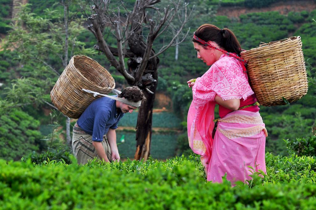 Nuwara Eliya Day Tour – 1 Day Hill Country Escape - Image 6