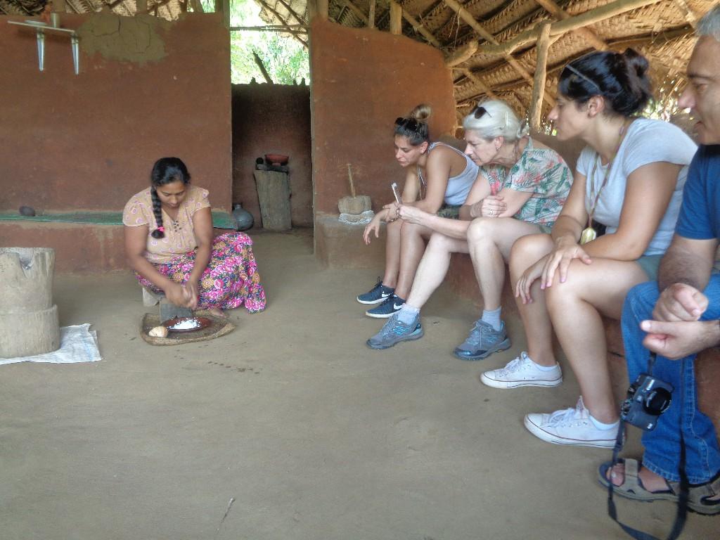 Sigiriya & Dambulla Heritage Tour – 1 Day Cultural Adventure - Image 4
