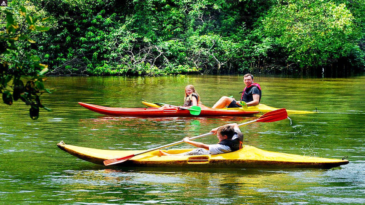  Nature & Adventure Explorer - Image 3