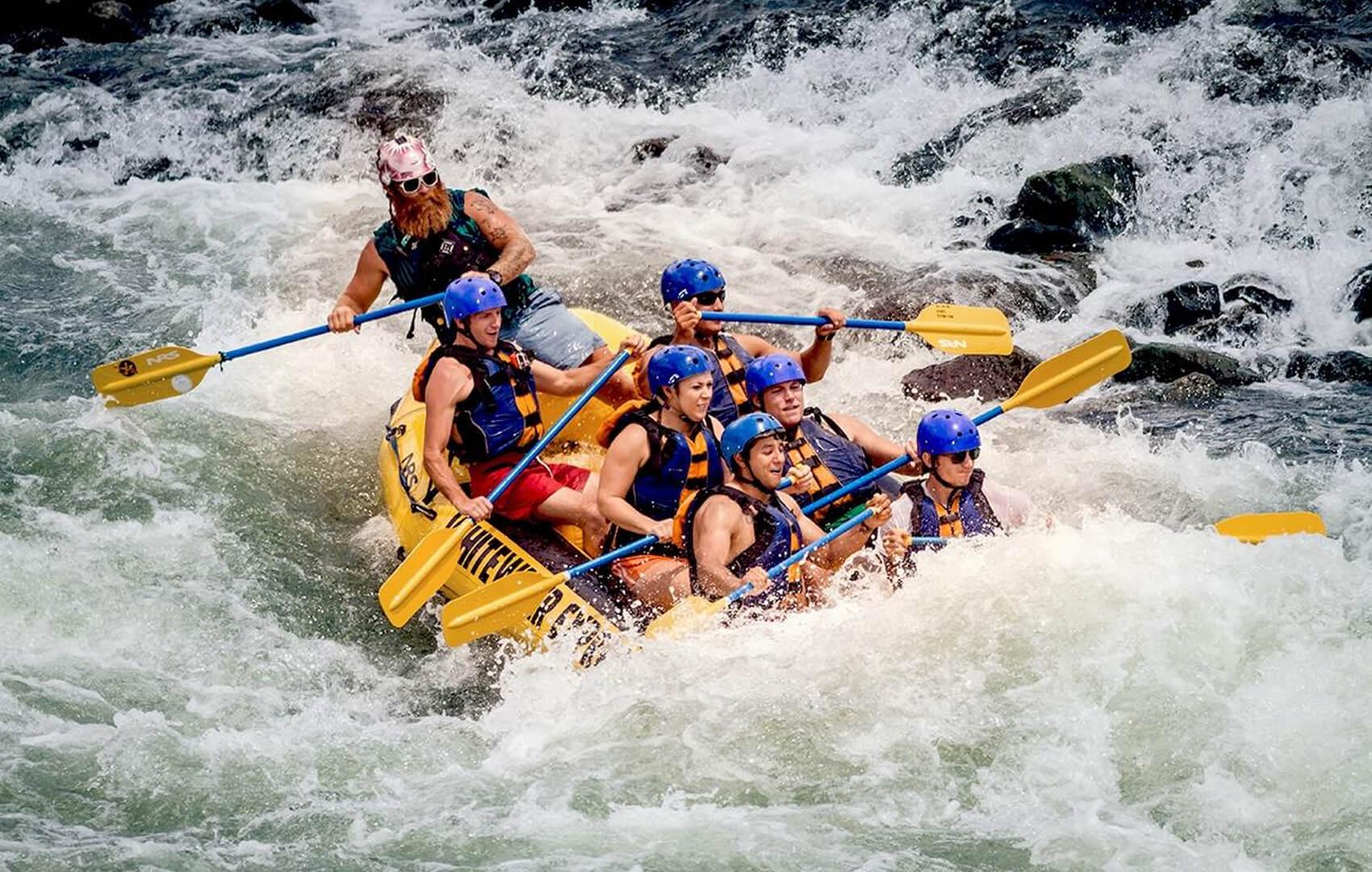  Nature & Adventure Explorer - Image 4