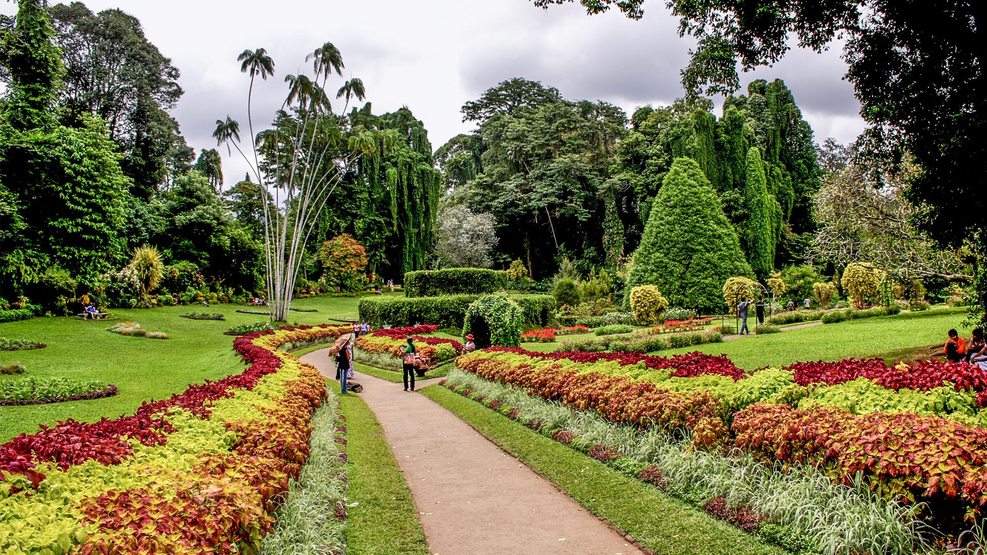  Romantic / Honeymoon Getaway - Image 10
