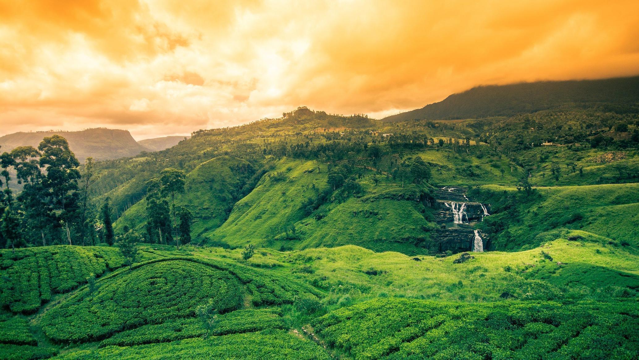  Romantic / Honeymoon Getaway - Image 9