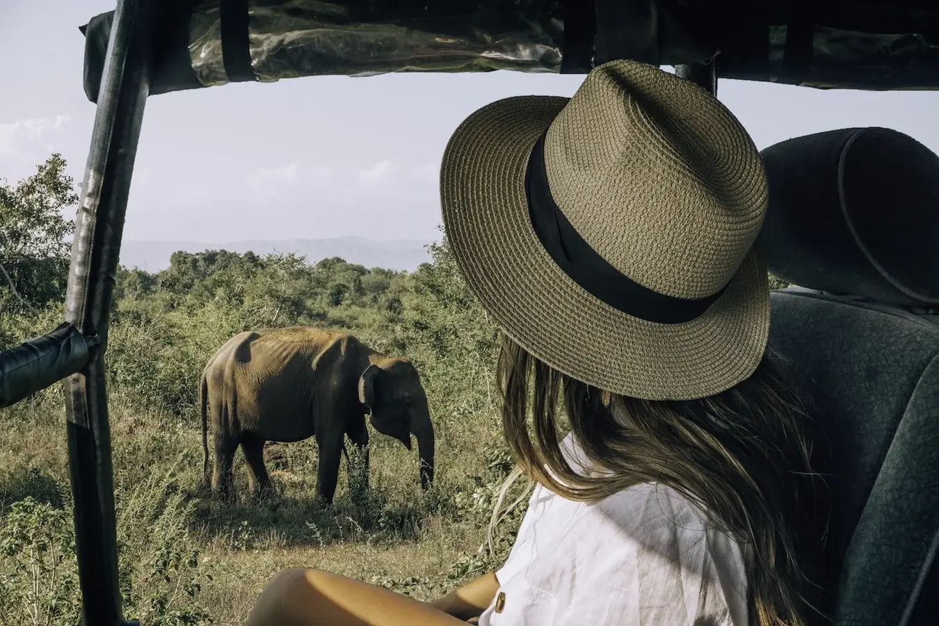 Wildlife & Safari Package - Image 2