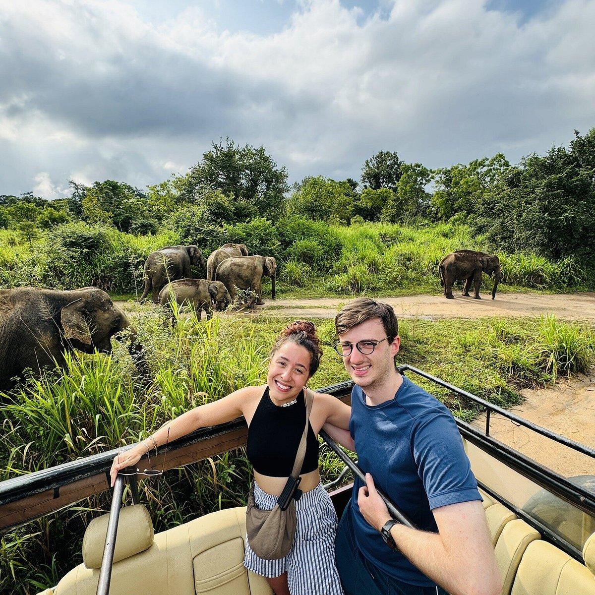 Wildlife & Safari Package - Image 5