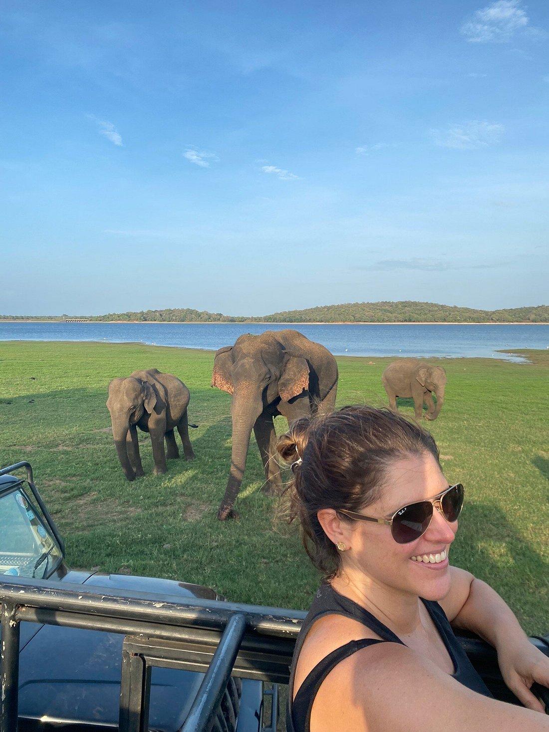 Kaudulla National Park - Gallery 3