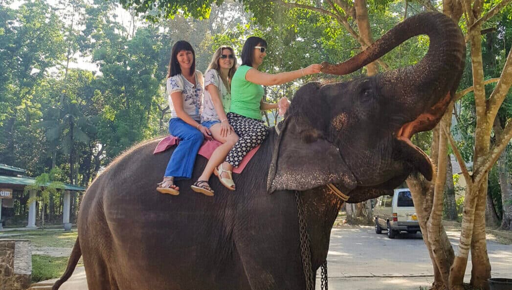 Pinnawala Elephant Orphanage Tour - Gallery 1