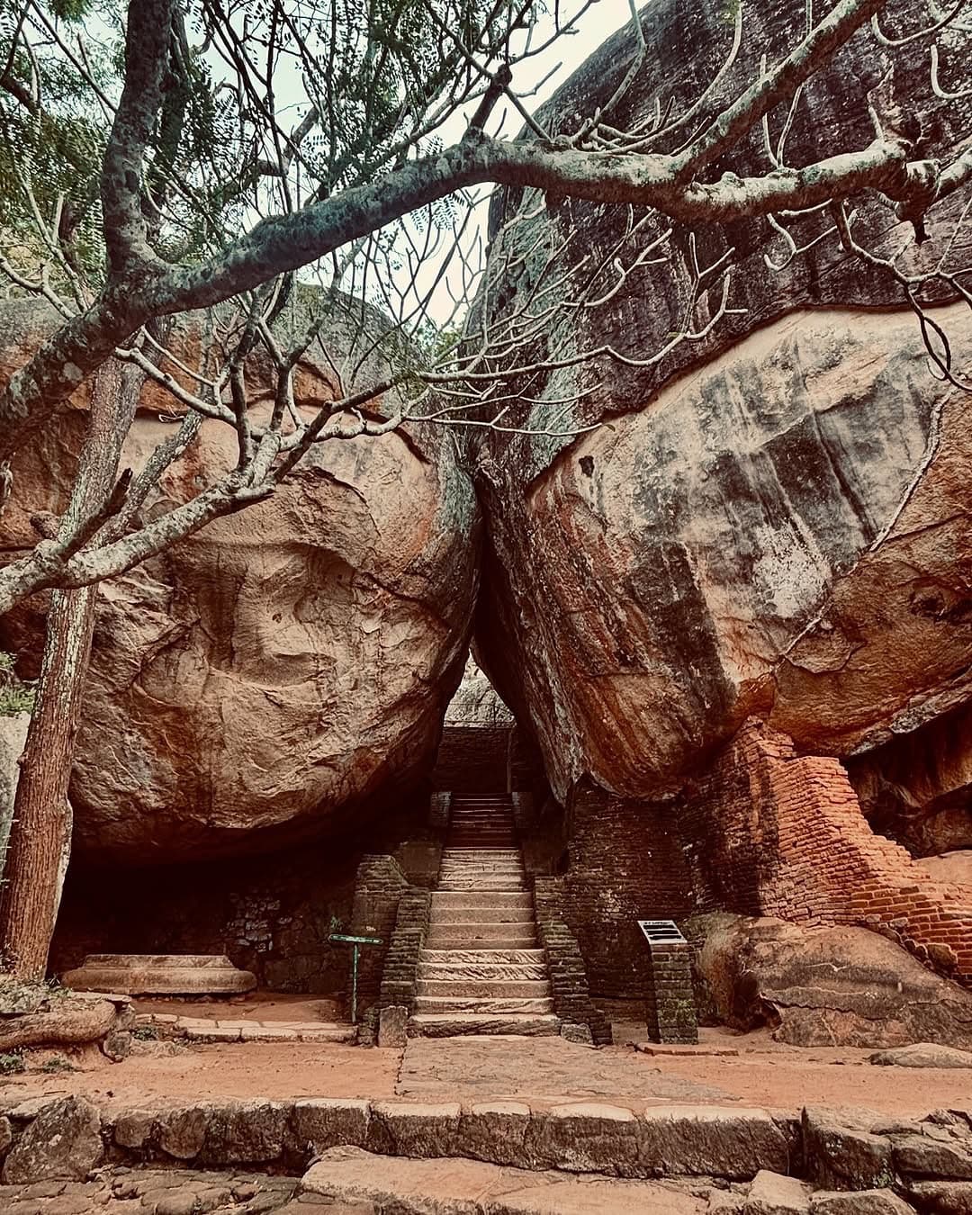 Sigiriya Rock Fortress - Gallery 3