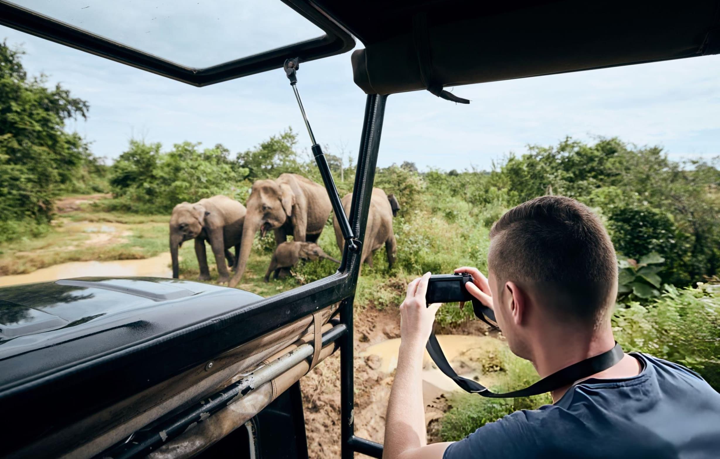 Wildlife & Safari Day Tour